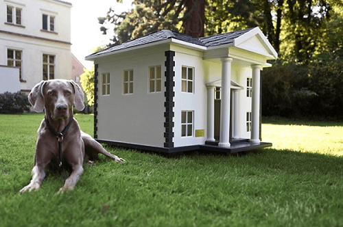 Fachadas de casas para mascotas